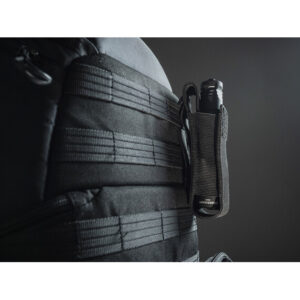 Dobermann__Pro-studio_photo_-140602_02b0-h4